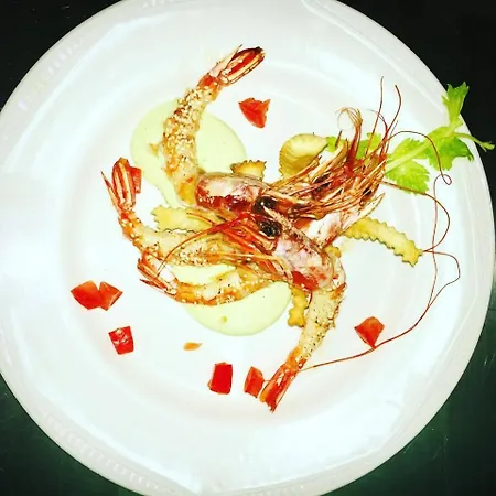 阿格里图丽斯莫拉卡迪奥尔加酒店