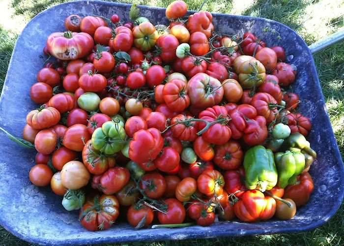 La Ca Dolga Lantställe